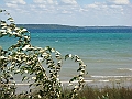Western Michigan [2010] 557